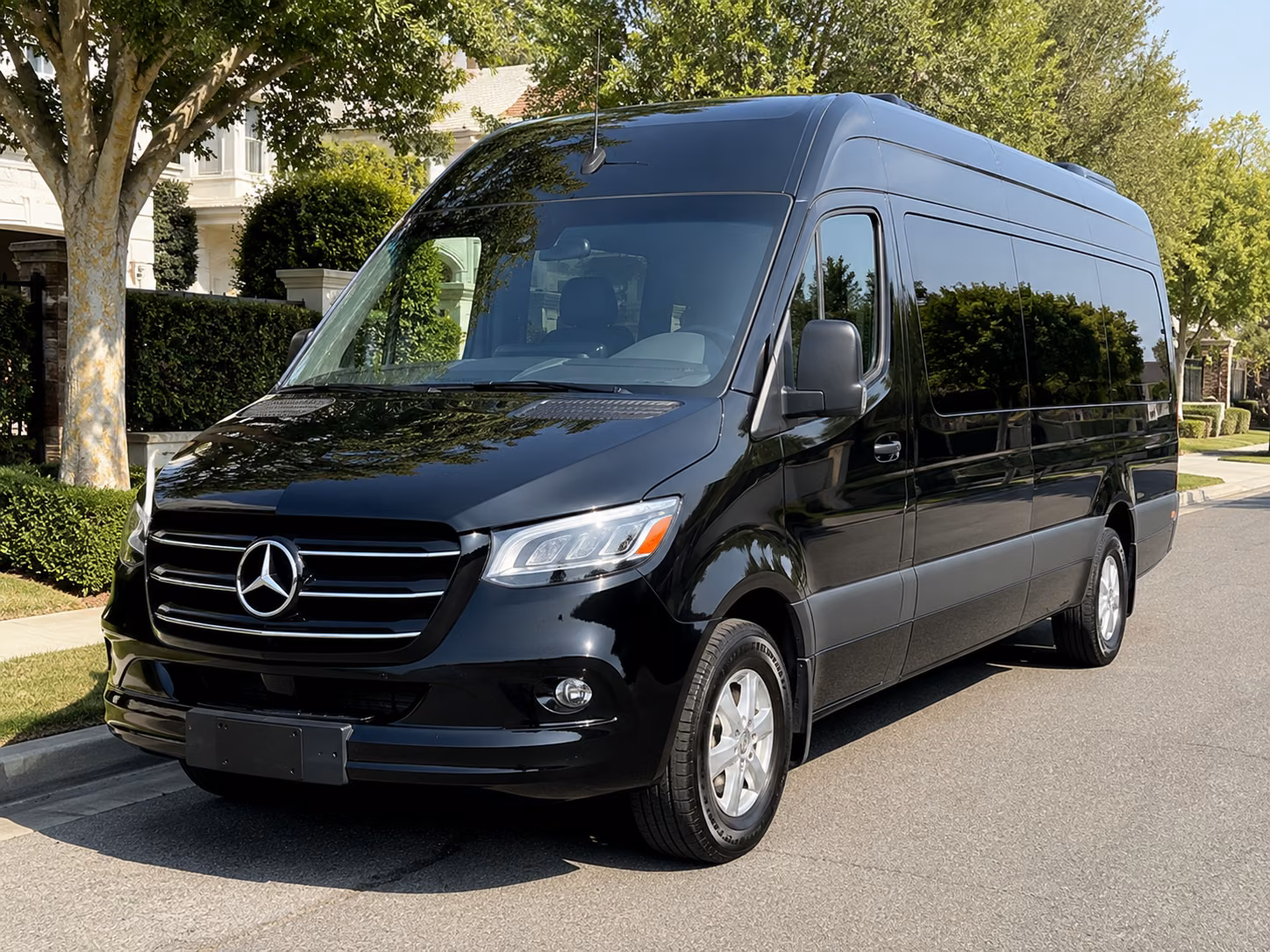 12 passenger sprinter van