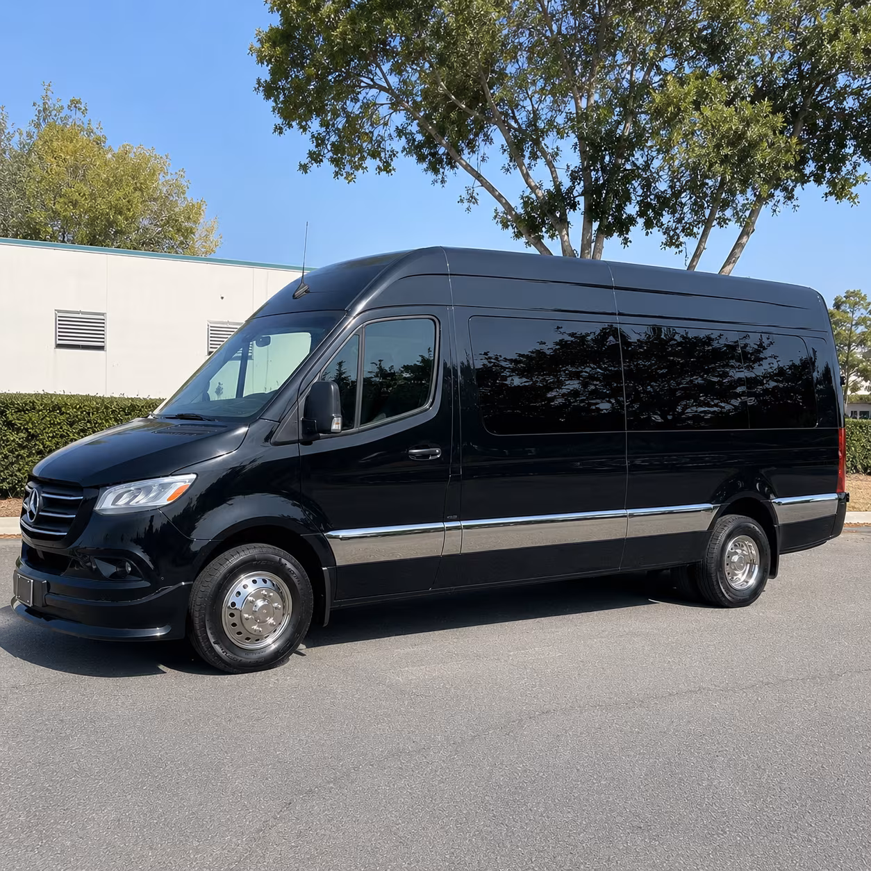 15 passenger sprinter van