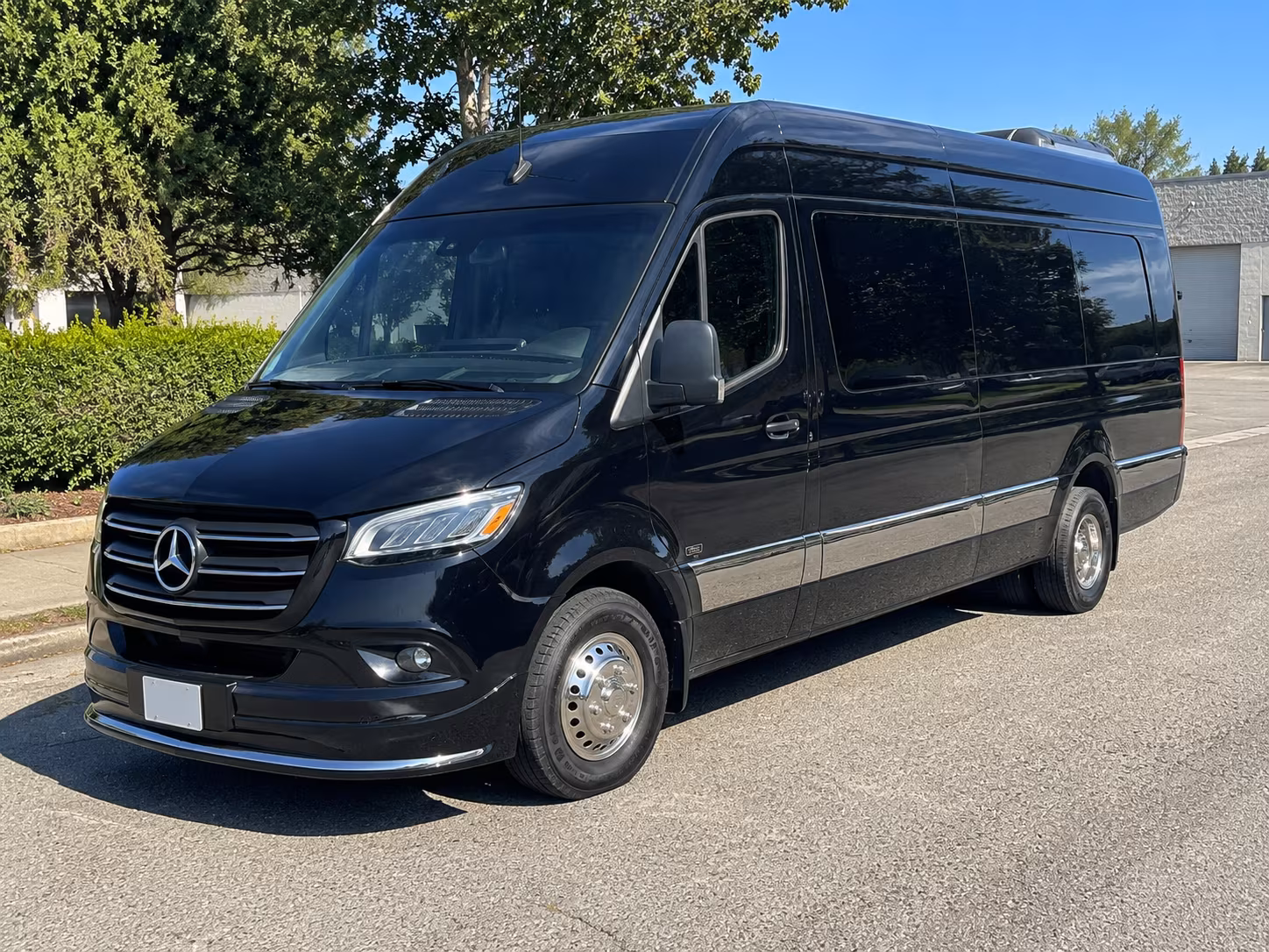 sprinter van options for anaheim trips